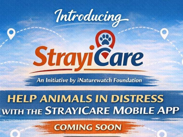 StrayiCare Mobile App – Powering a Community Animal Help Network