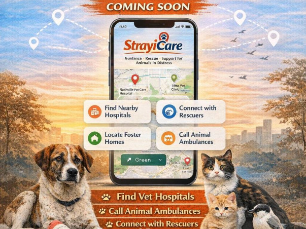 StrayiCare Mobile App – Powering a Community Animal Help Network