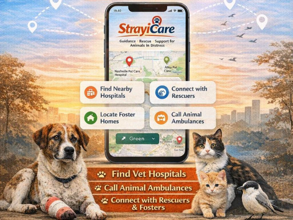 StrayiCare Mobile App – Powering a Community Animal Help Network