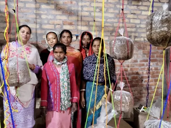 Grow Her Future: Mushrooms, Women, Change