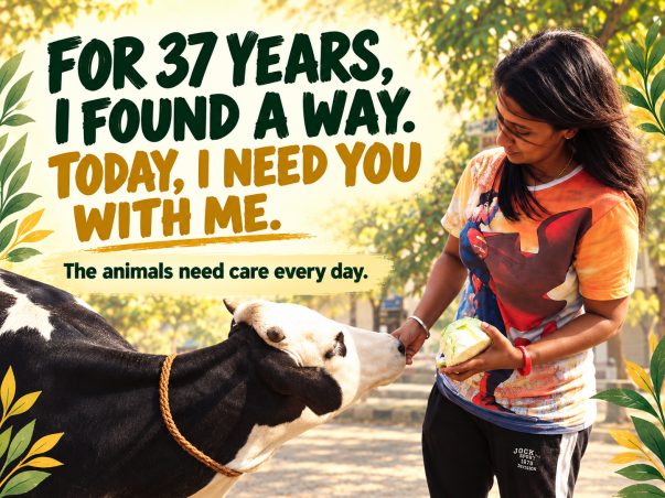 Help JENY LEON LOPEZ FOUNDATION take care of 350+ Animals