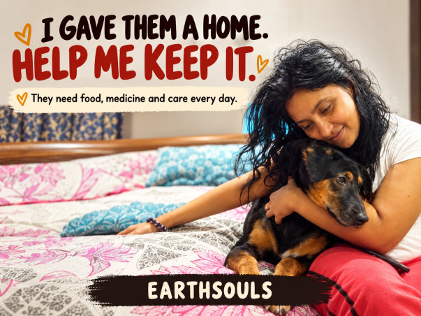 Help JENY LEON LOPEZ FOUNDATION take care of 350+ Animals