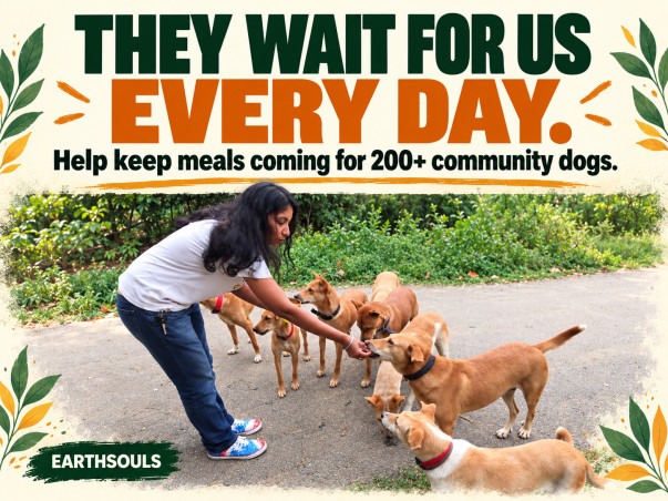 Help JENY LEON LOPEZ FOUNDATION take care of 350+ Animals