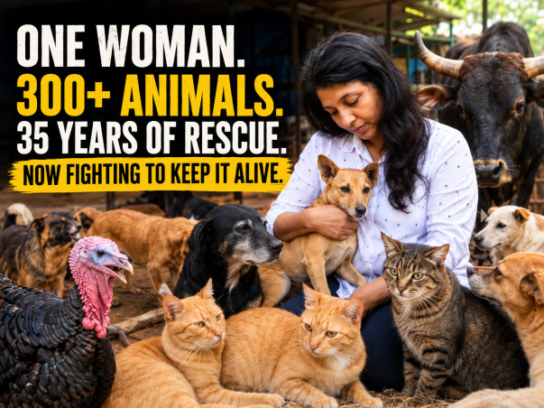 Help JENY LEON LOPEZ FOUNDATION take care of 350+ Animals