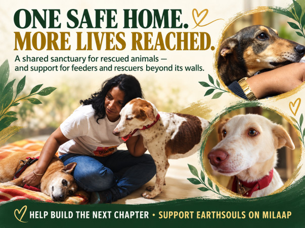 Help JENY LEON LOPEZ FOUNDATION take care of 350+ Animals