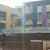 Budhu