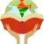 Share A Book India Association 