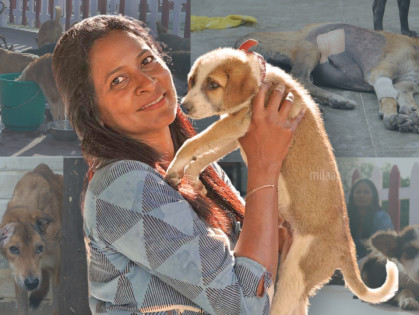 Animal Welfare Fund