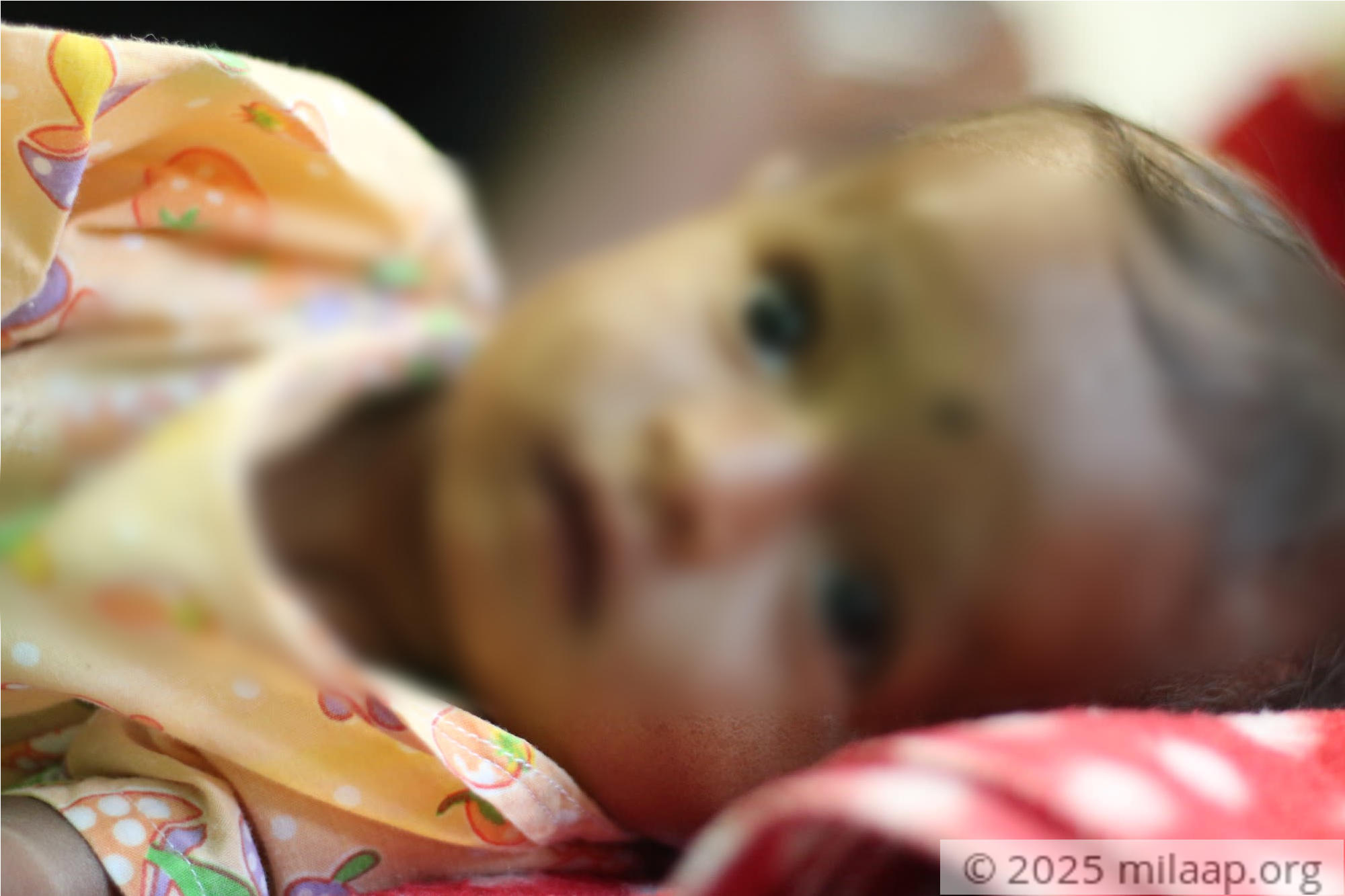 20200120162926 img 1333 uqaqq2 1579681780