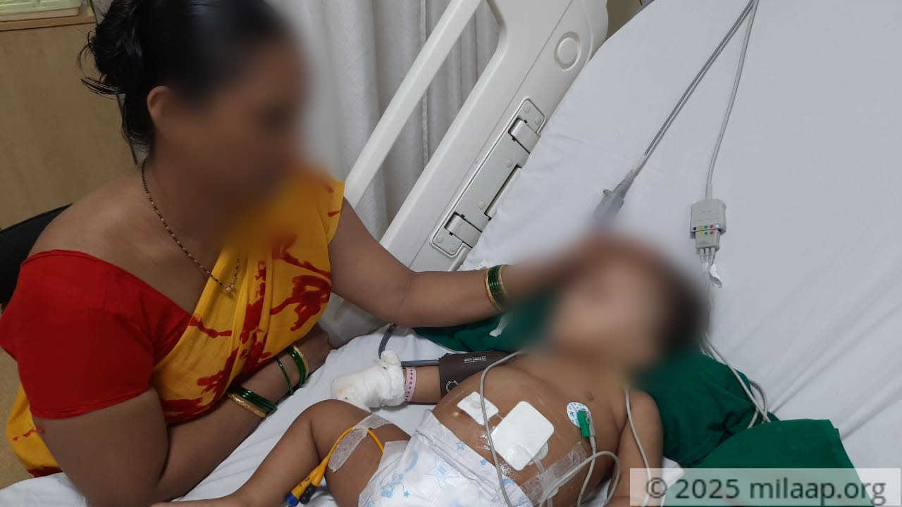 Whatsapp image 2020 08 06 at 12.17.16 pm hfb82r 1596716659