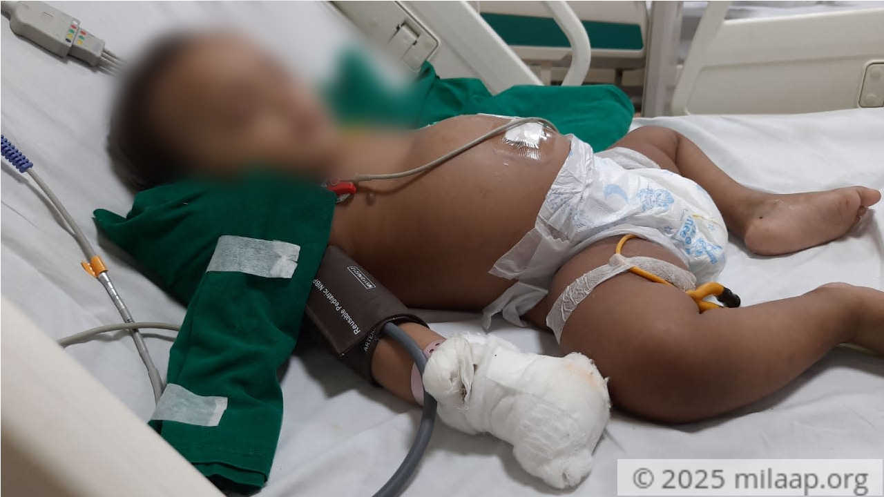 Whatsapp image 2020 08 06 at 12.18.57 pm i85nw9 1596716663