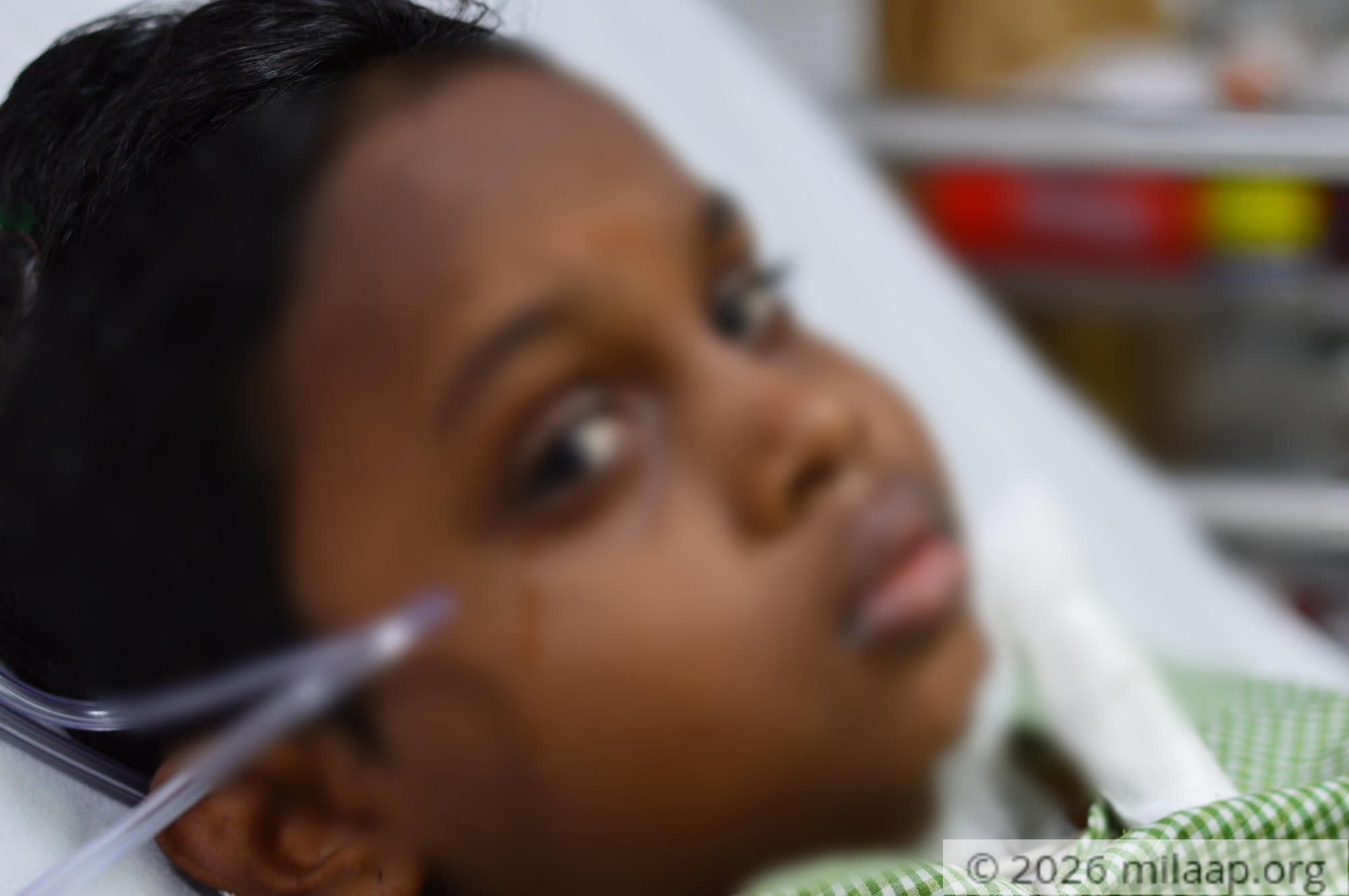 Dsc 0030 wxe1ce 1571115046