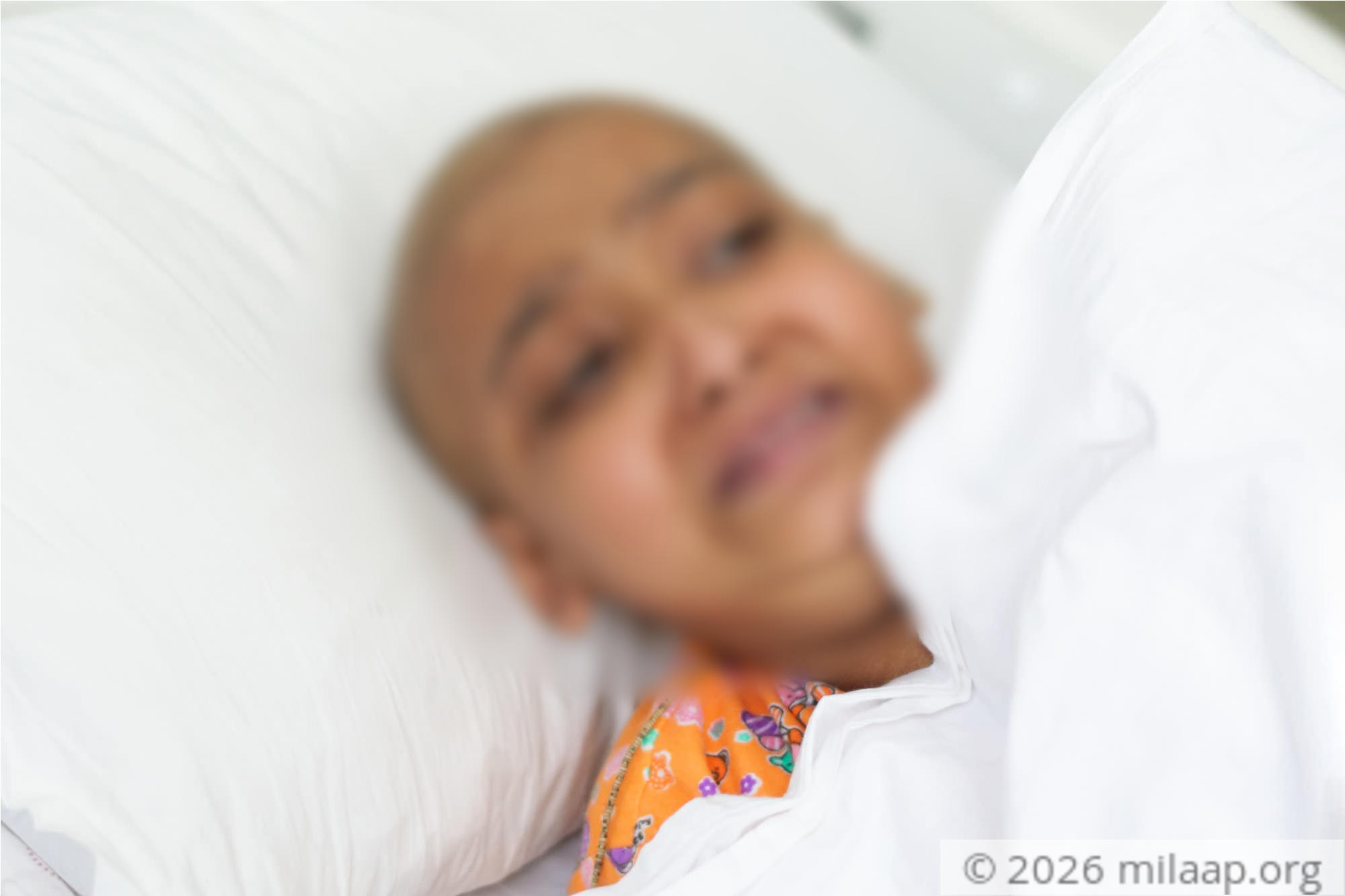 Dsc 3077 dxo n7blhi 1574241707