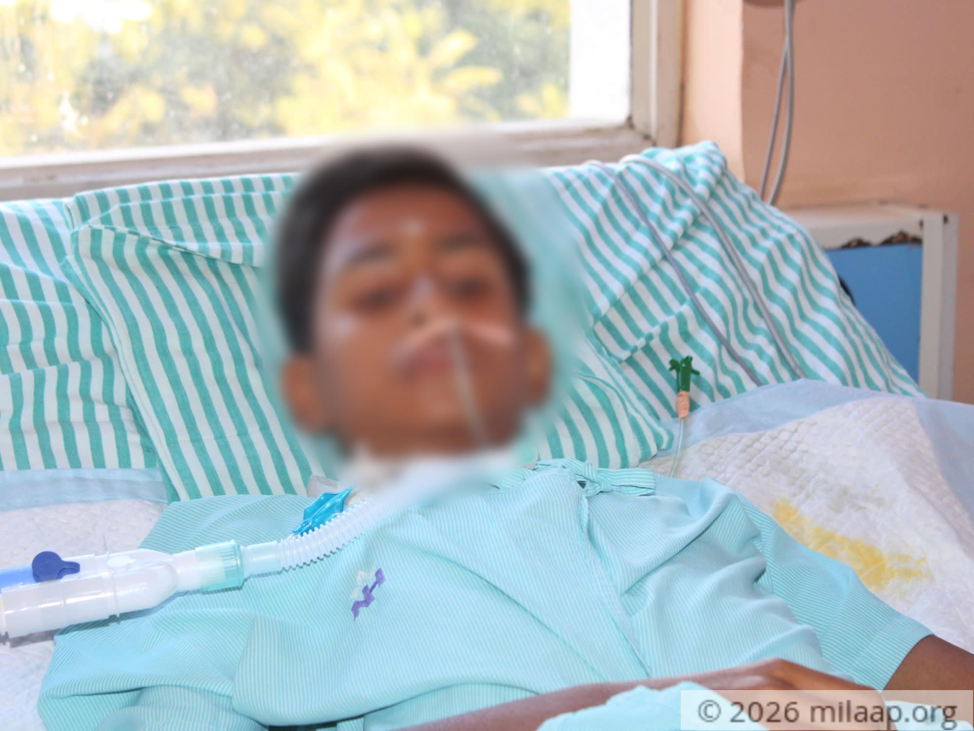 20191129180219 img 6425 01 rlusp7 1575276908