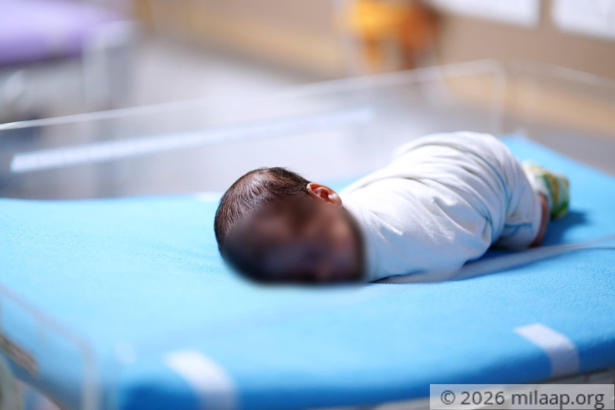 Dsc09605 afx4wu 1581661627