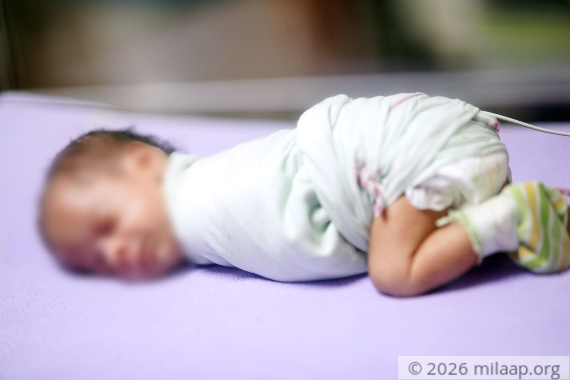 Dsc09596 seqpsh 1581661633