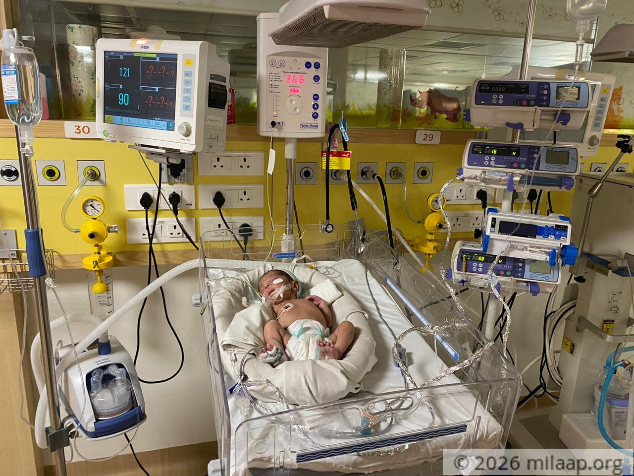 Whatsapp image 2020 07 19 at 3.17.20 pm easivb 1595319140