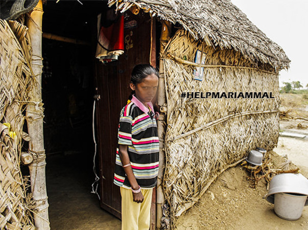 HELP SAVE A BLOOMING FLOWER FROM WILTING (MARIAMMAL)