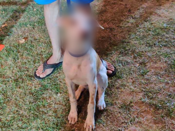 Milo Has Found His Loving Family!