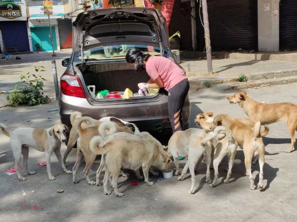 PawsInPaws | 'Speak for the Unspeakable'