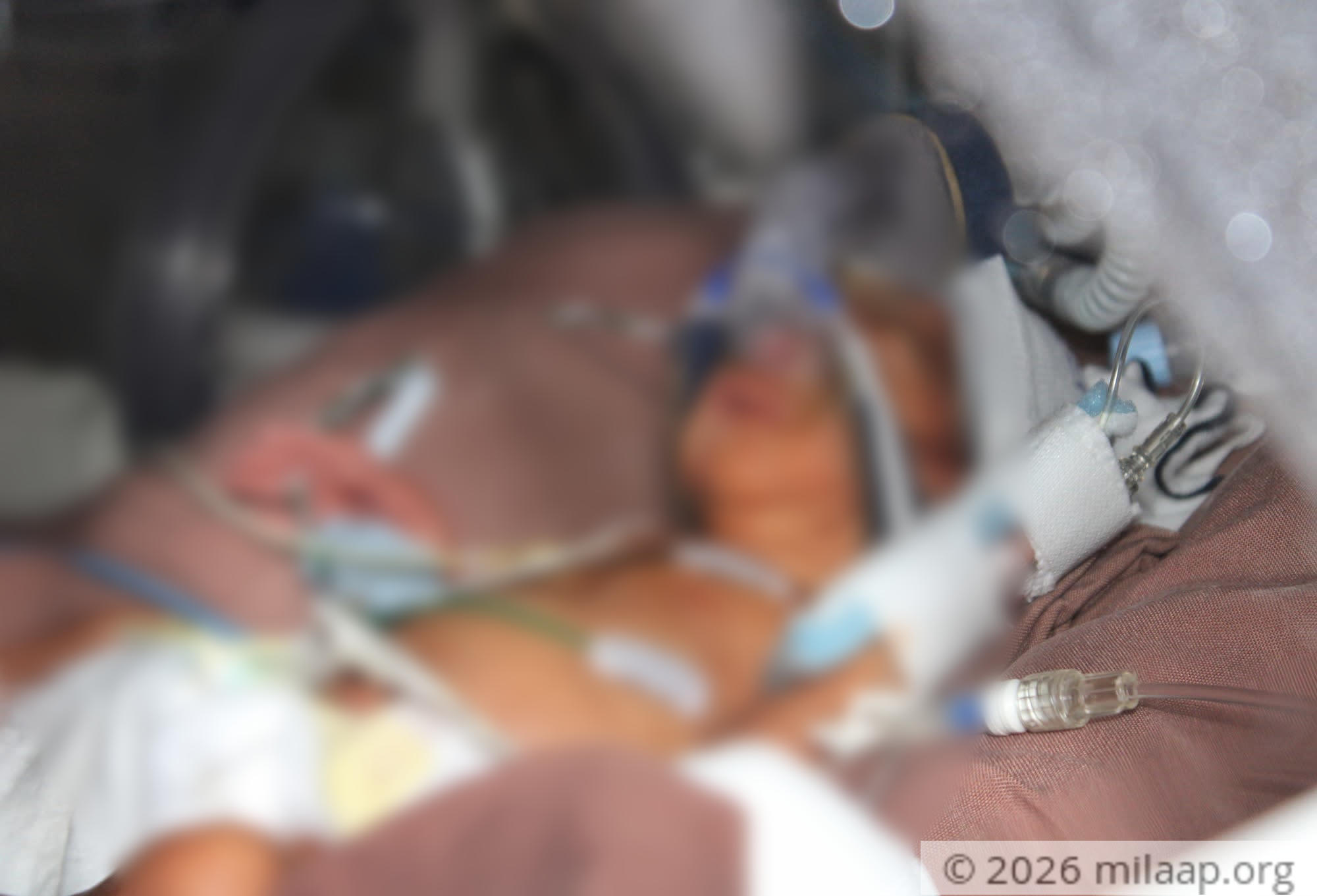 20190920160843 img 8627 01 e2ehhs 1569066396