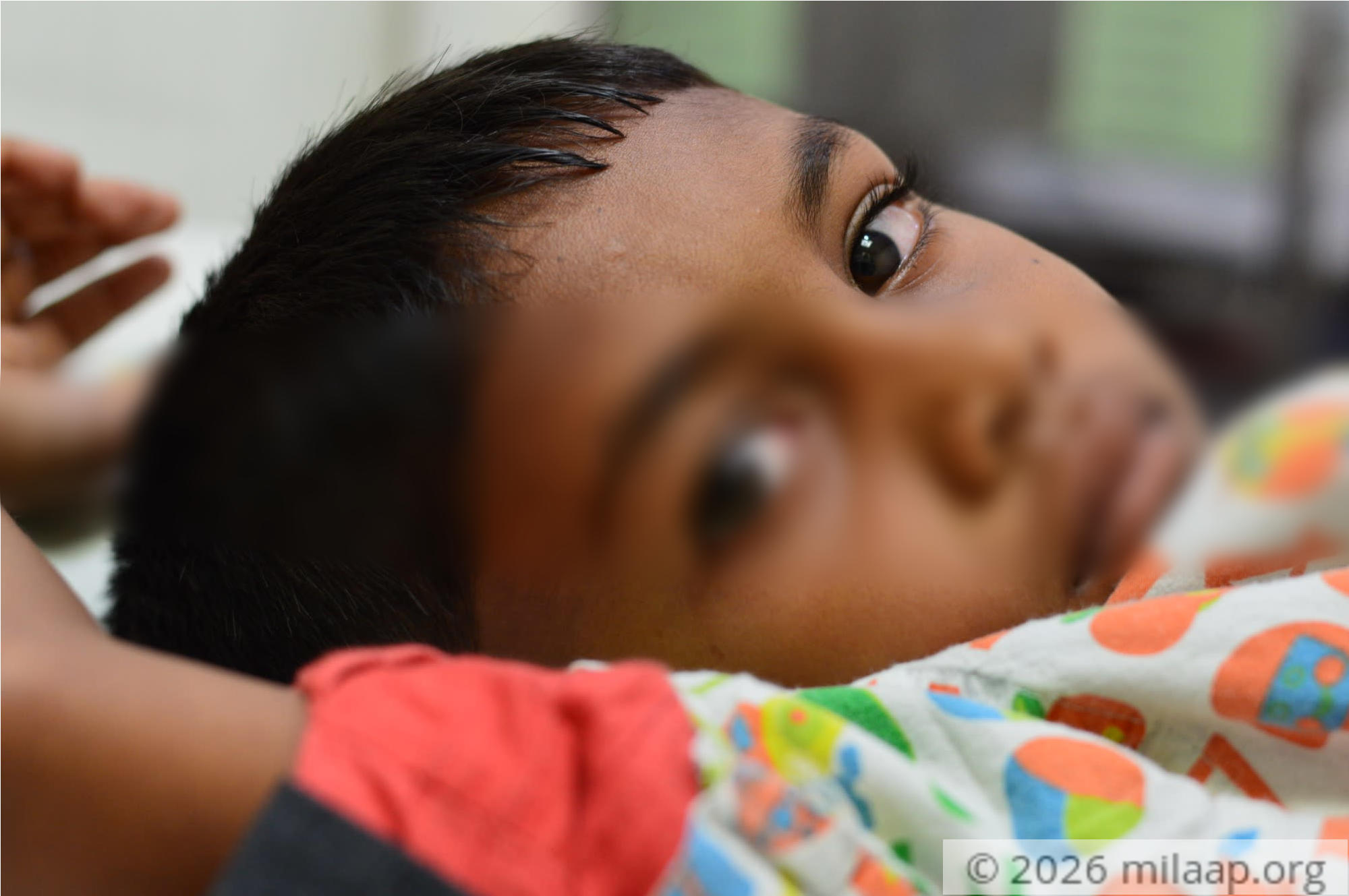 Dsc 0092 qifihe 1569245943