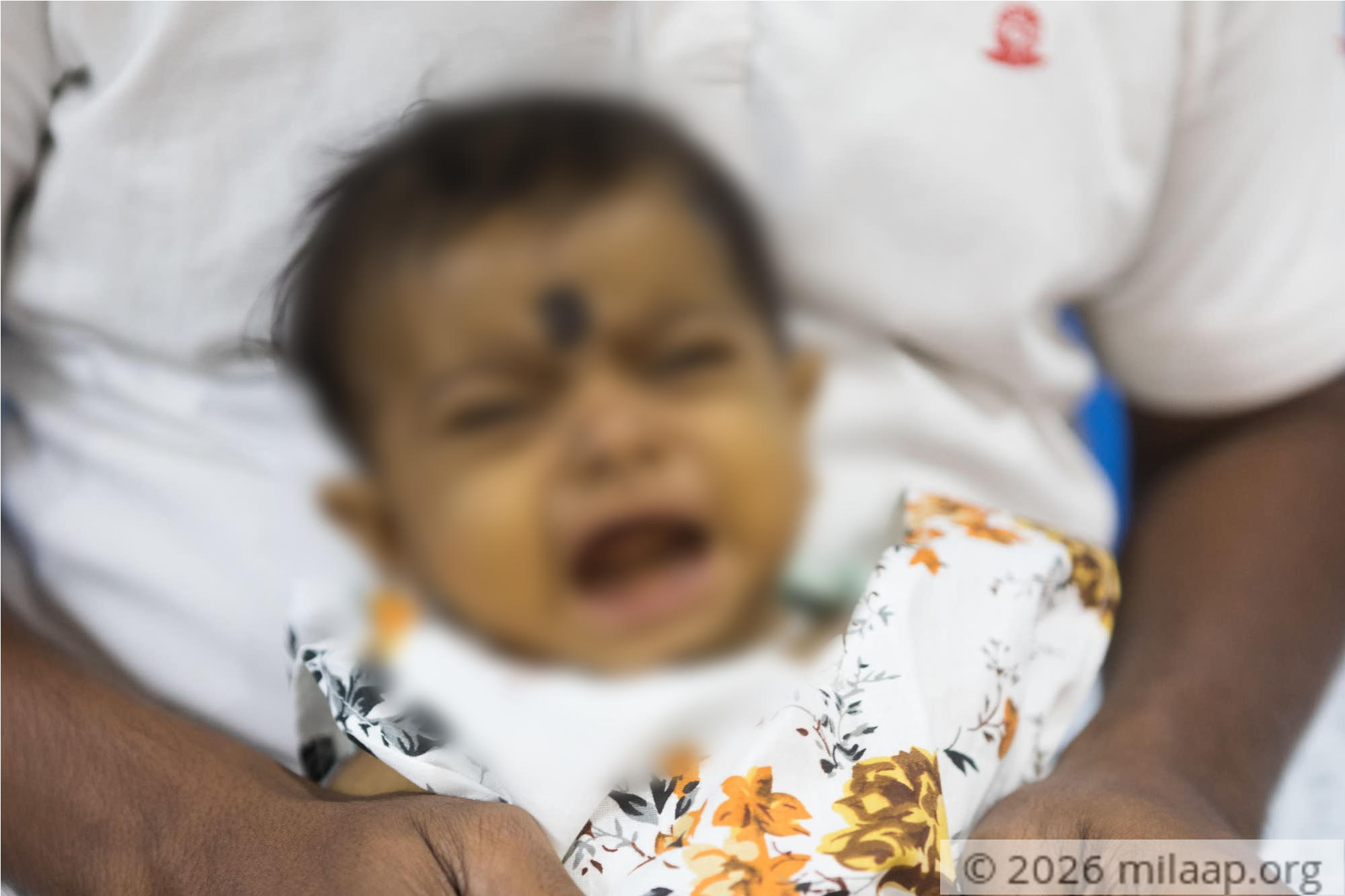 Honey rout 3 oqfwgx 1570076112