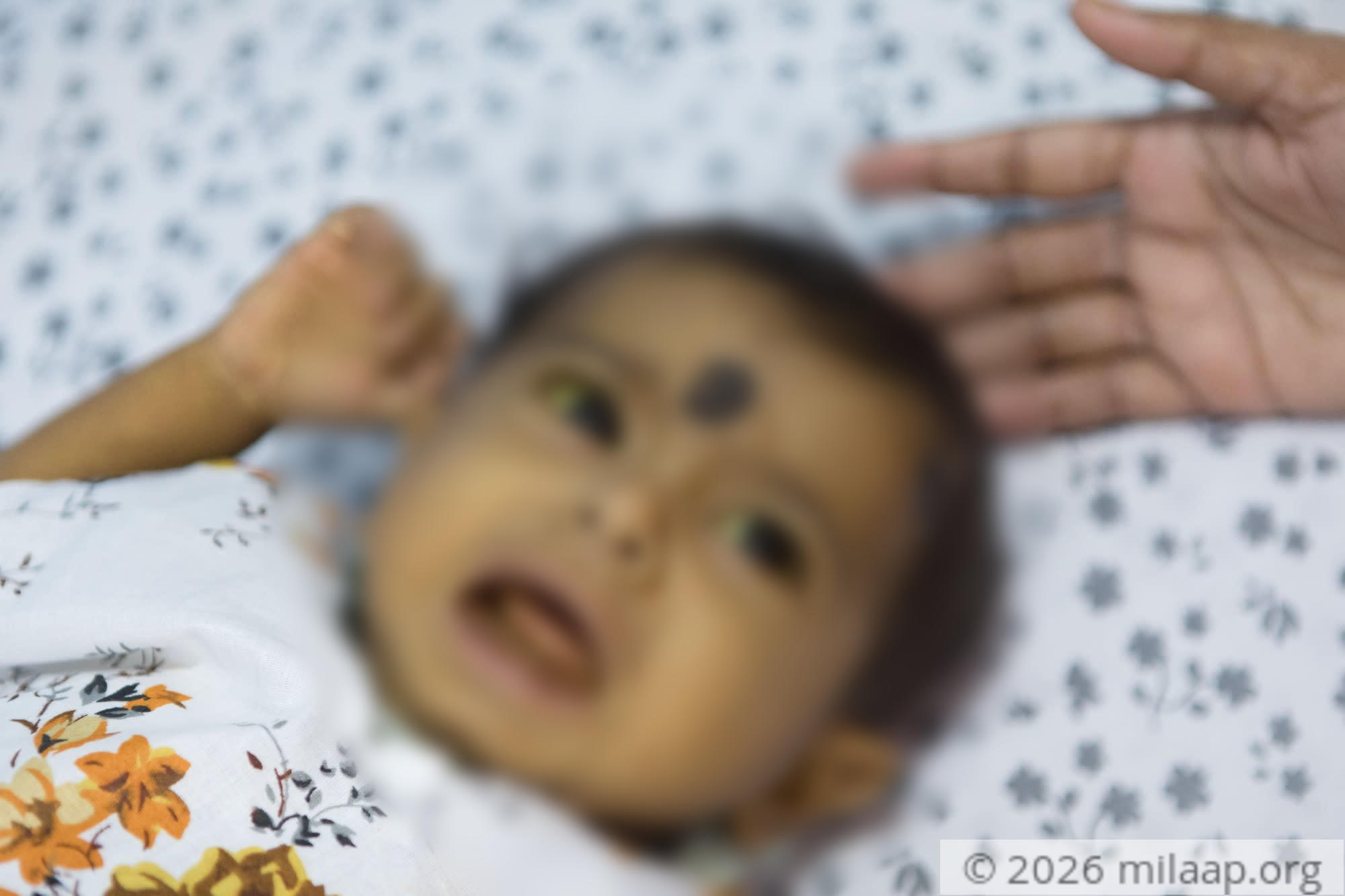 Honey rout 4 j2va5s 1570076118