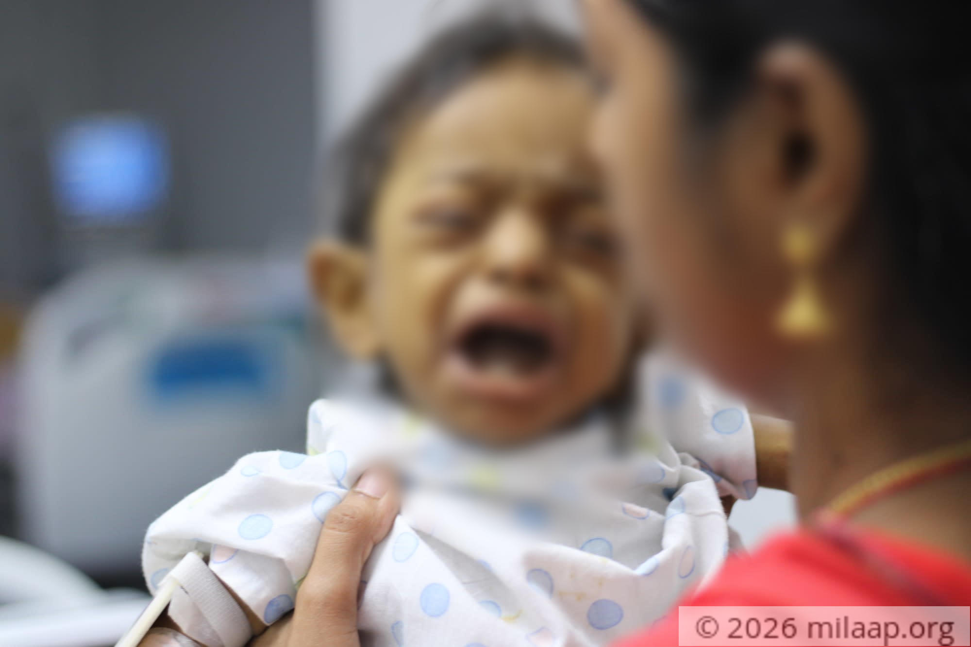 20191005125231 img 9408 1 rfg8ms 1570451679