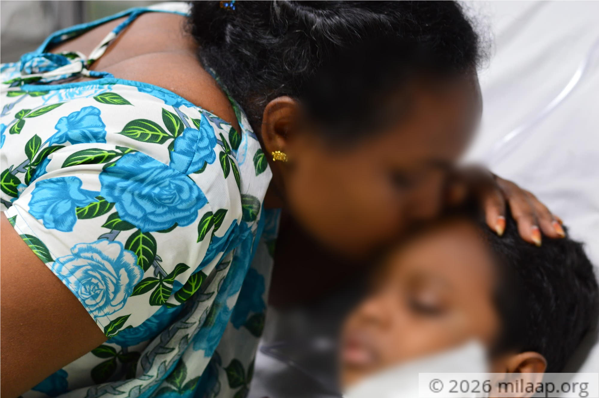 Dsc 0062 pigoix 1571115070