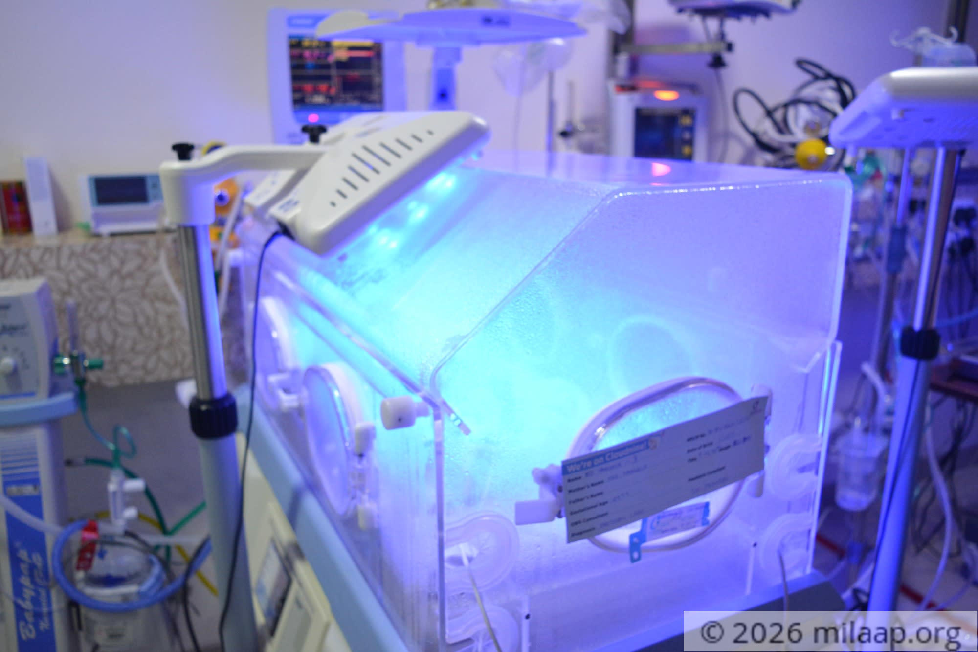 Dsc 0308 lys5fu 1571290858