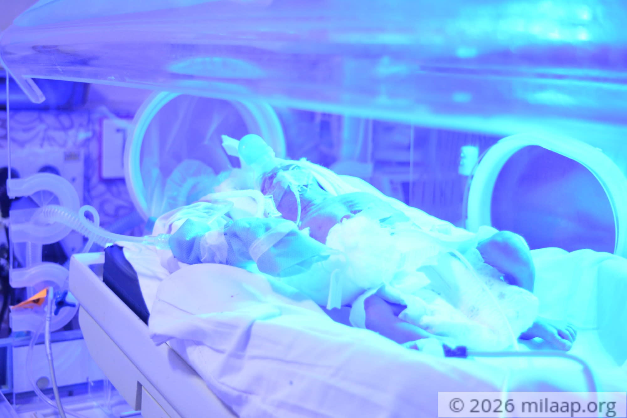 Dsc 0312 qdfwot 1571290859