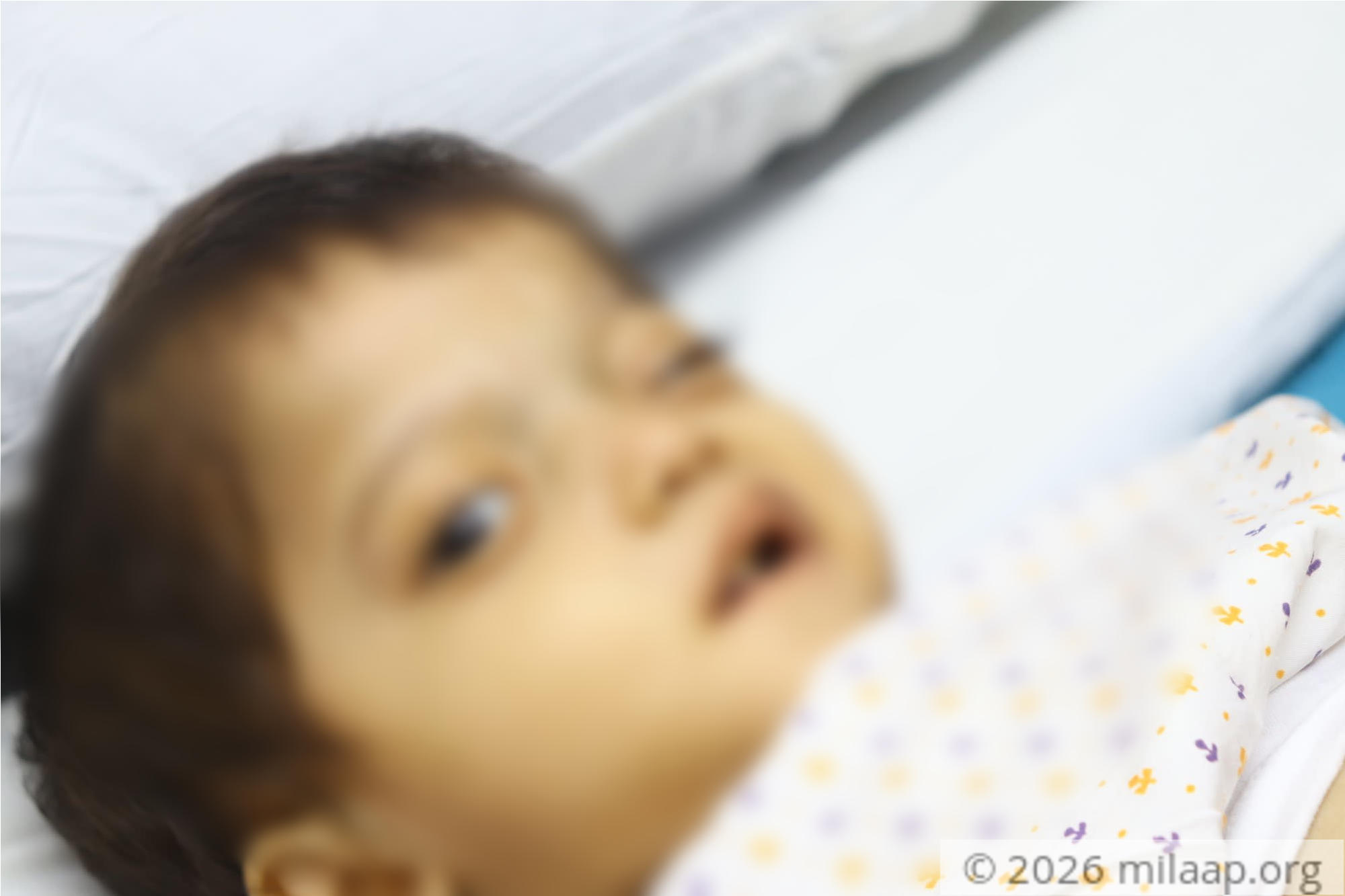 Img 1952 wvbshm 1571633870