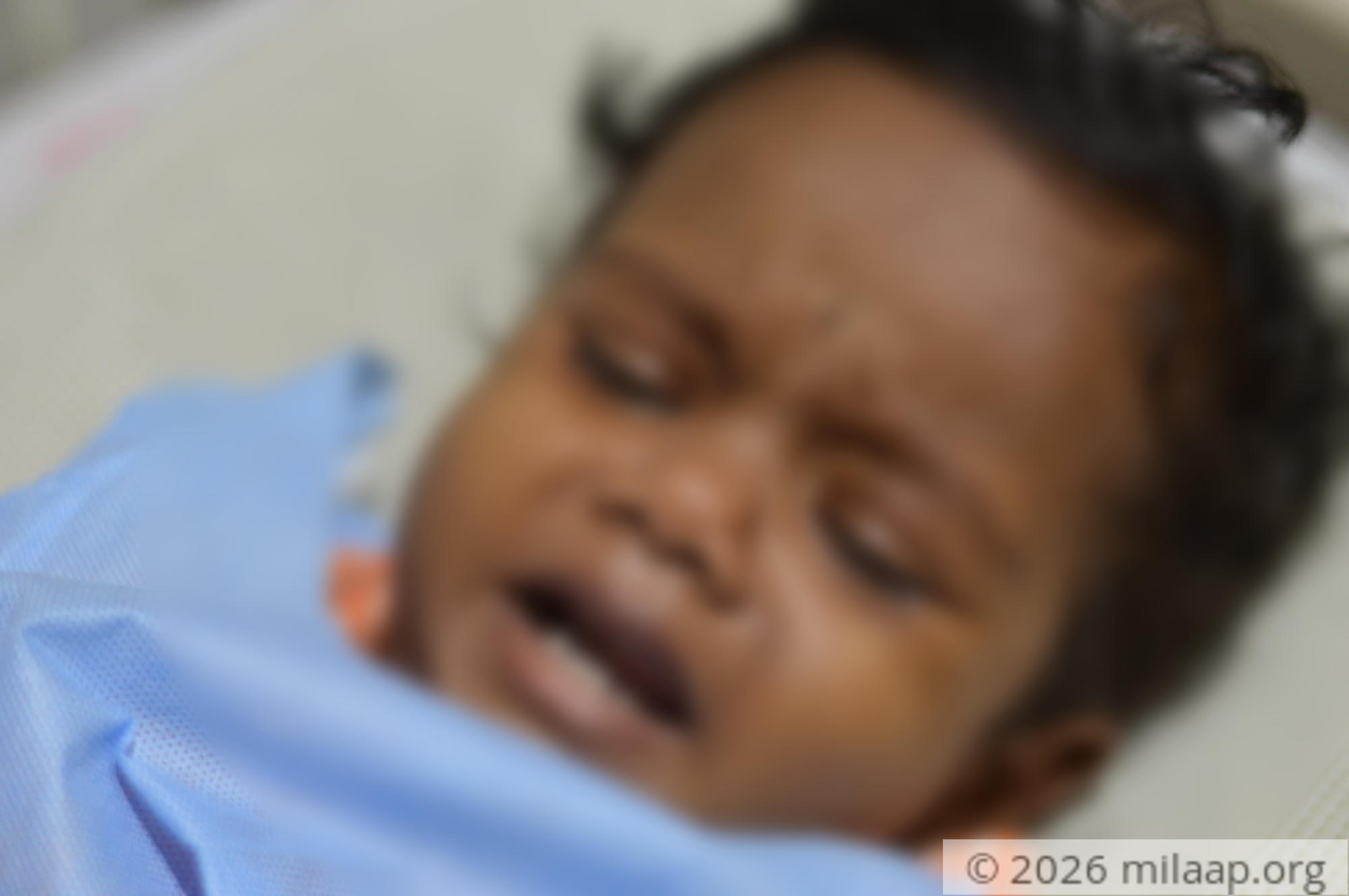 Dsc 0101 hz3q4t 1571759374