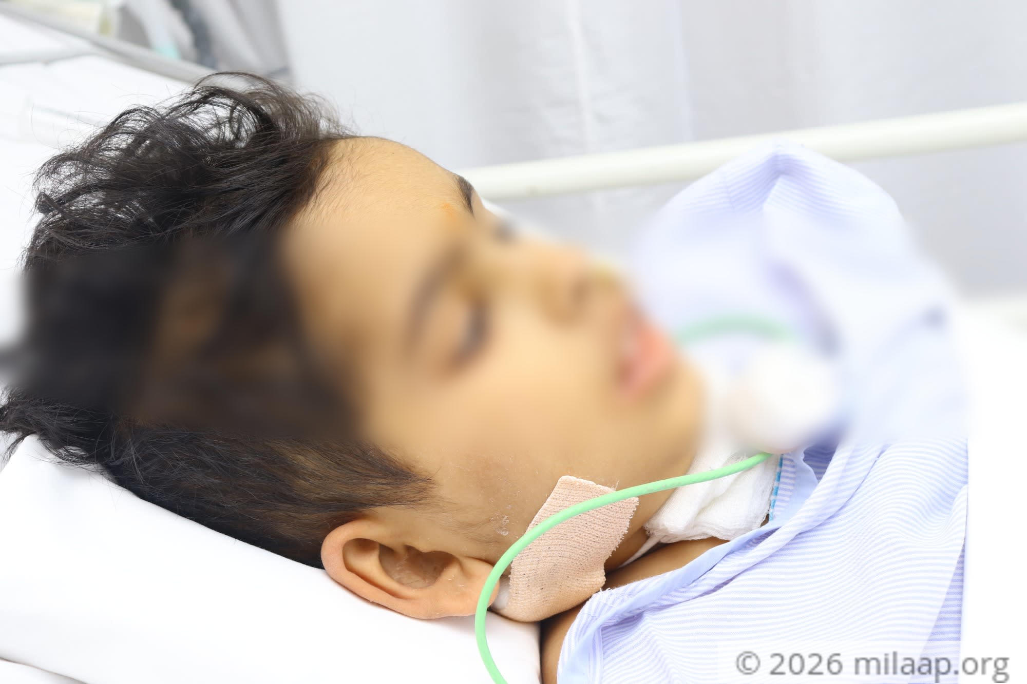 Img 8142 utipiz 1572323873