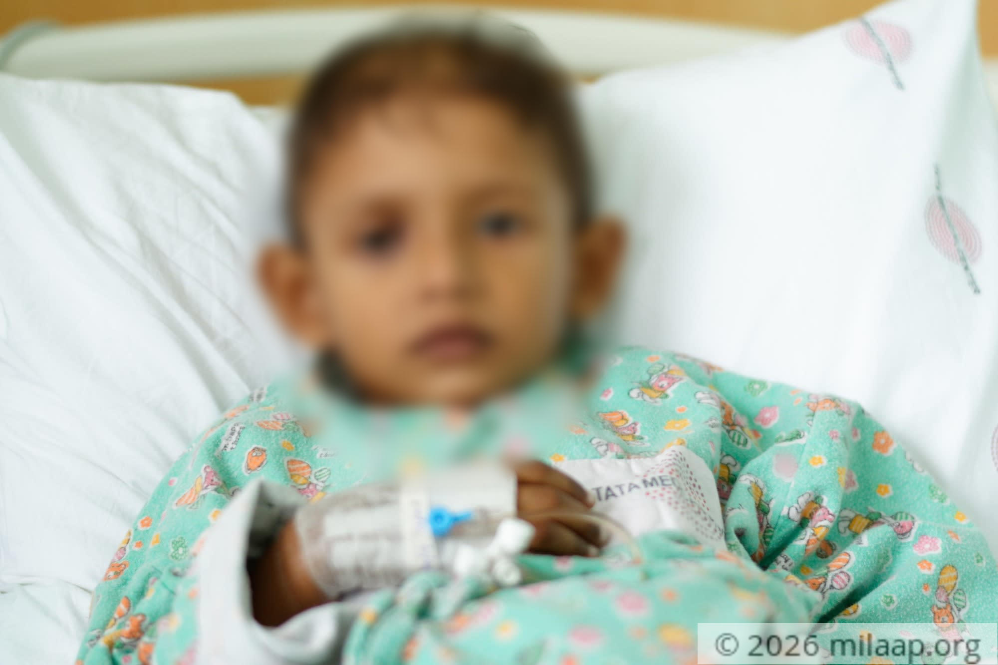 Dsc 1121 dxo kdj65m 1572682634