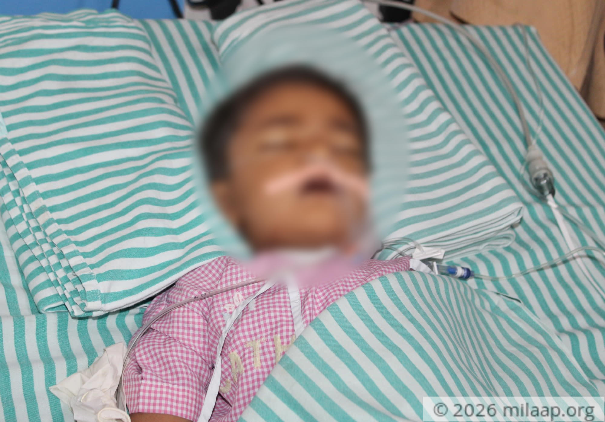 20191105182405 img 3356 01 bmtz6l 1573023385