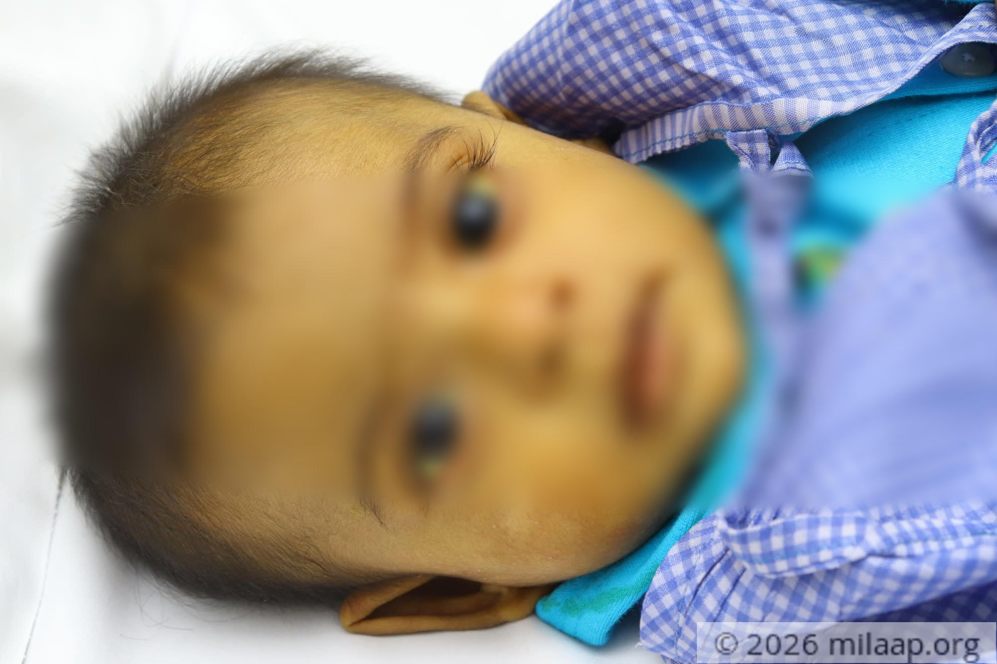 Img 9165 zqzaro 1573098214