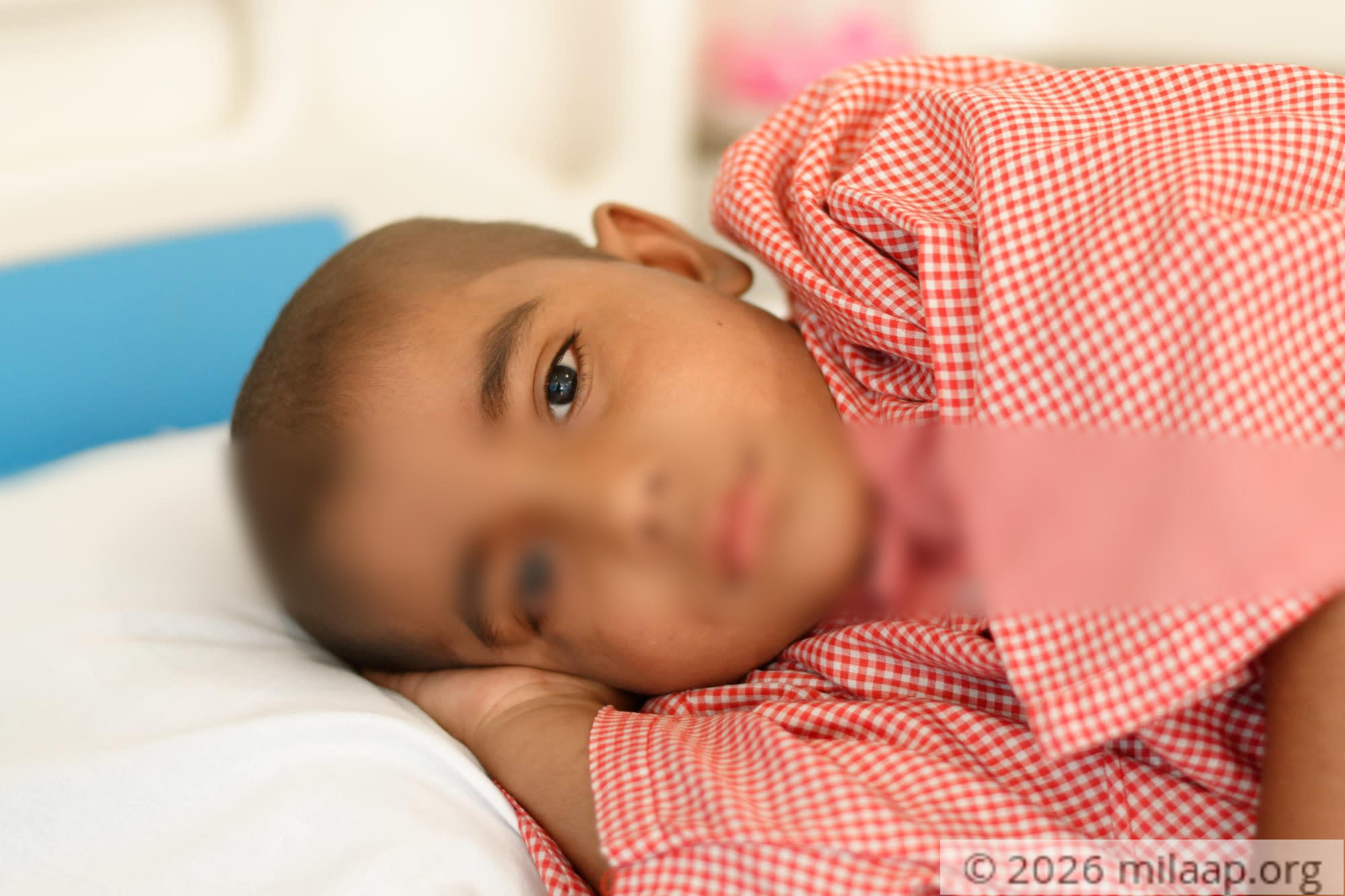 Dsc 1526 dxo oaoxpi 1573135617