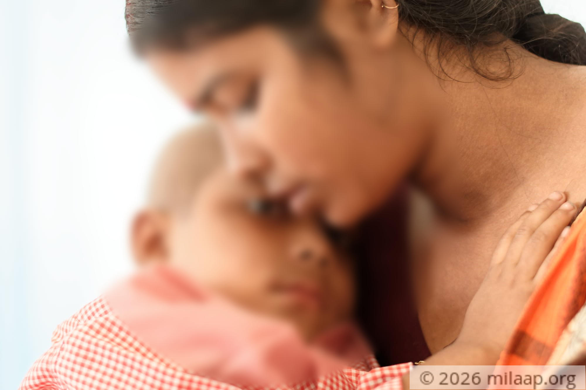 Dsc 1554 dxo dgrewr 1573135620