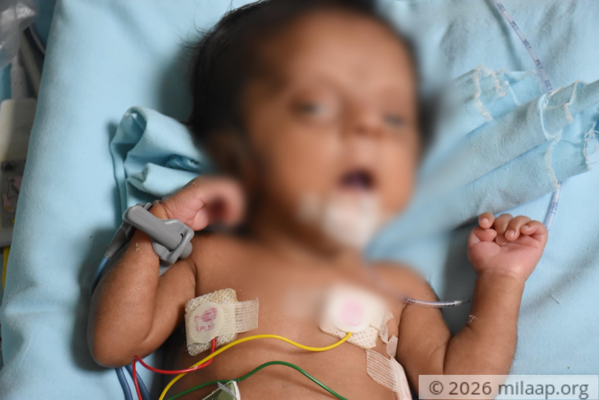 Dsc 2965 mlj9qn 1574768834