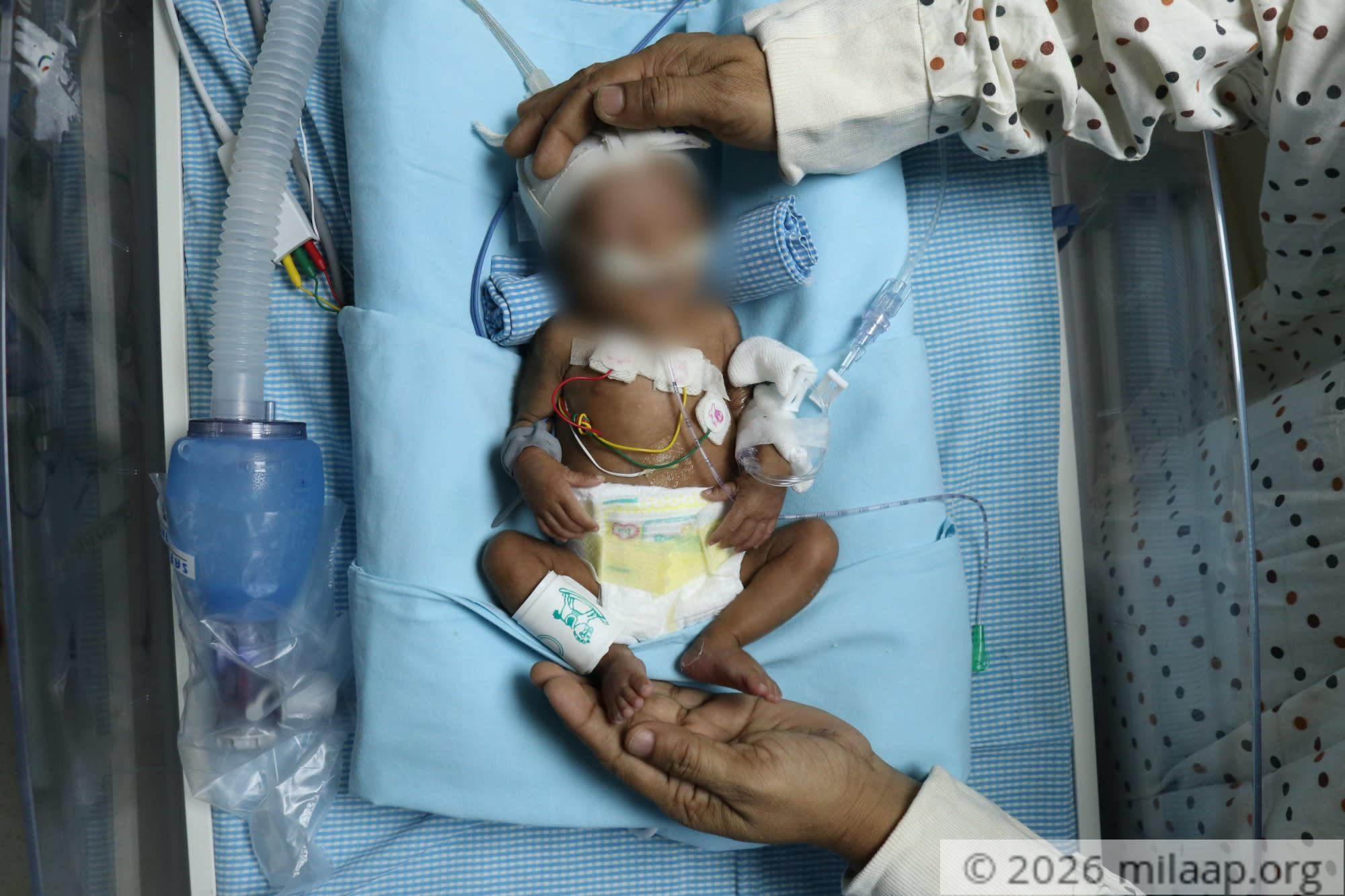 Img 3173 scuexi 1574768934