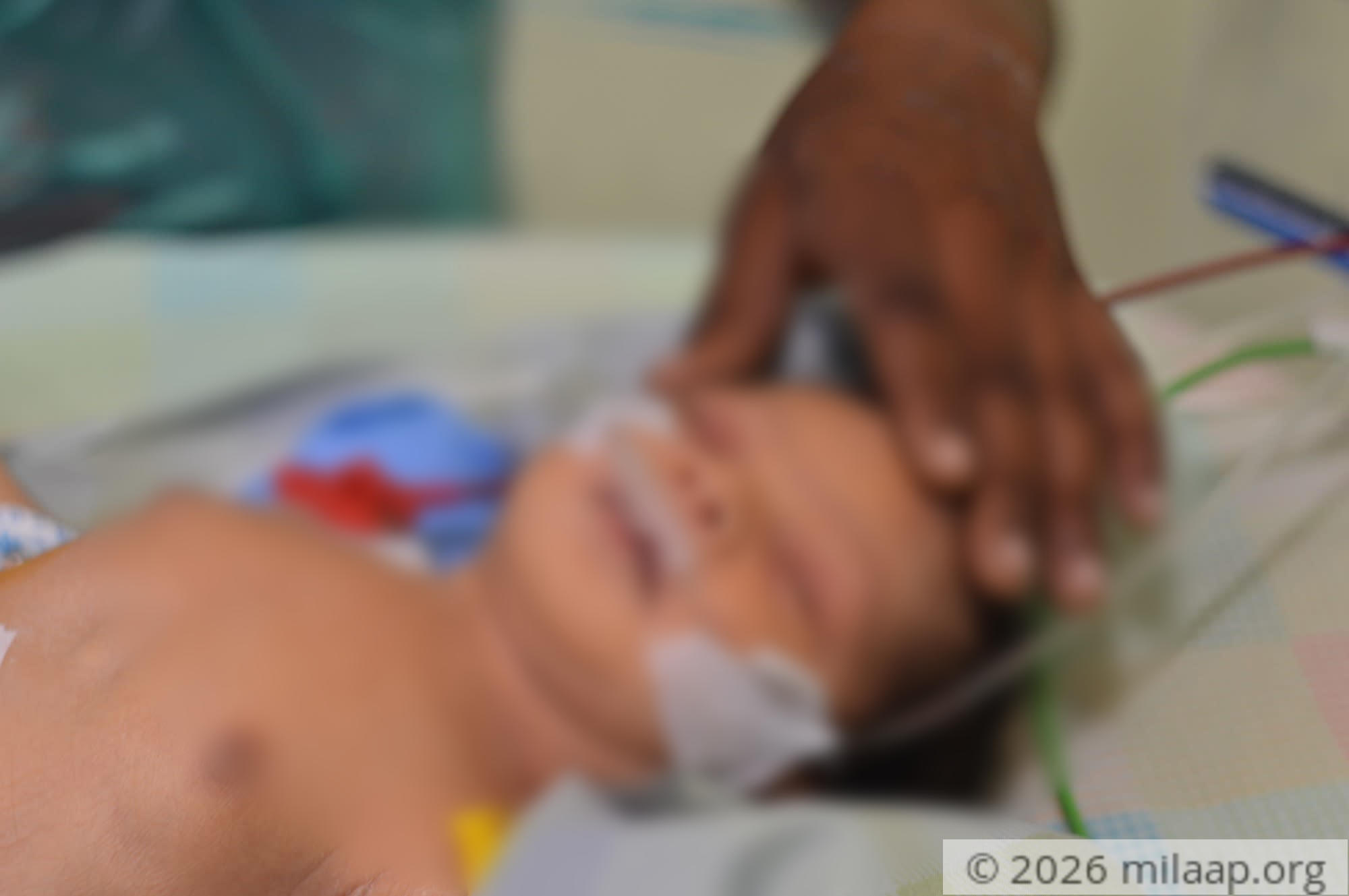 Dsc 0210 e0bt56 1574841763