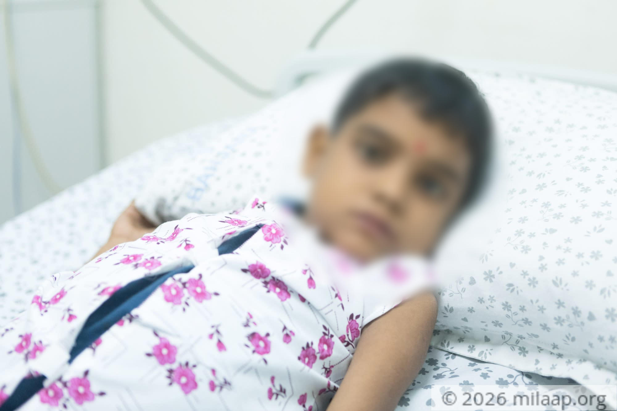 Shivraj kadan 3 q9gpip 1575294182