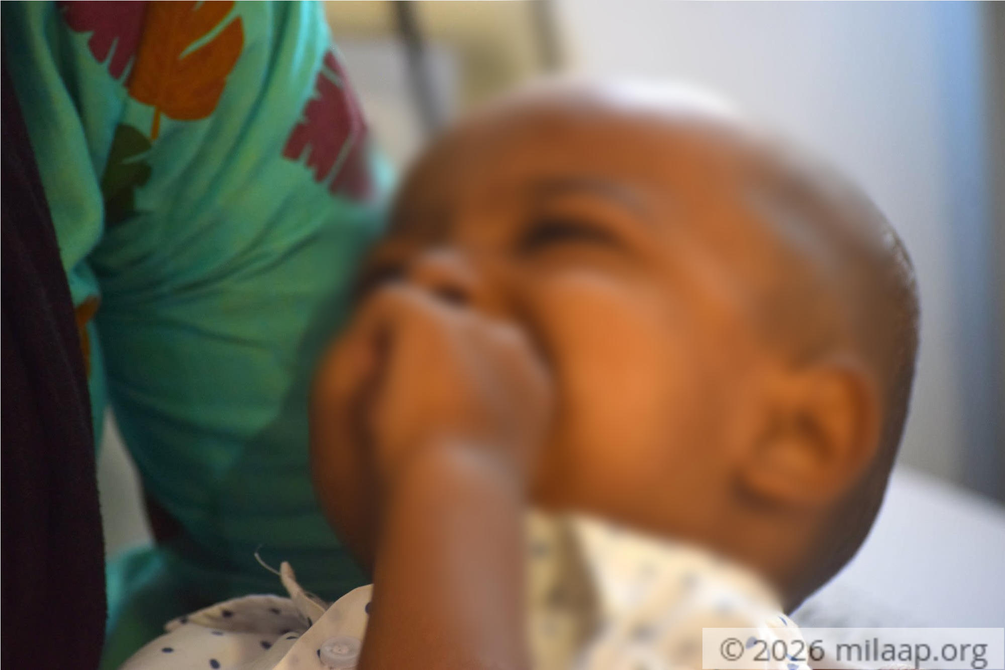 Dsc 0447 i7ydzm 1576197603