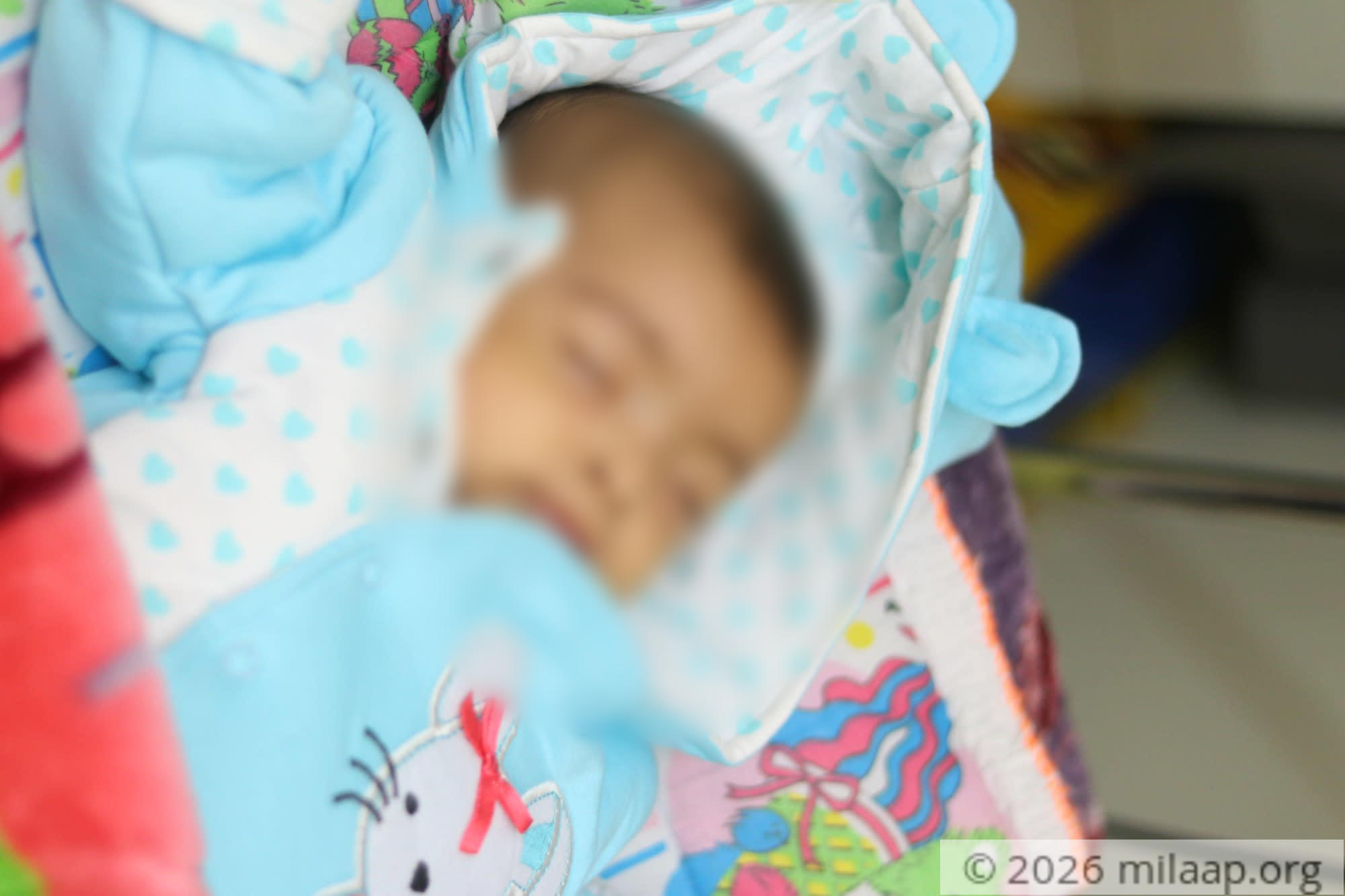 Img 6875 e0zrts 1576218536