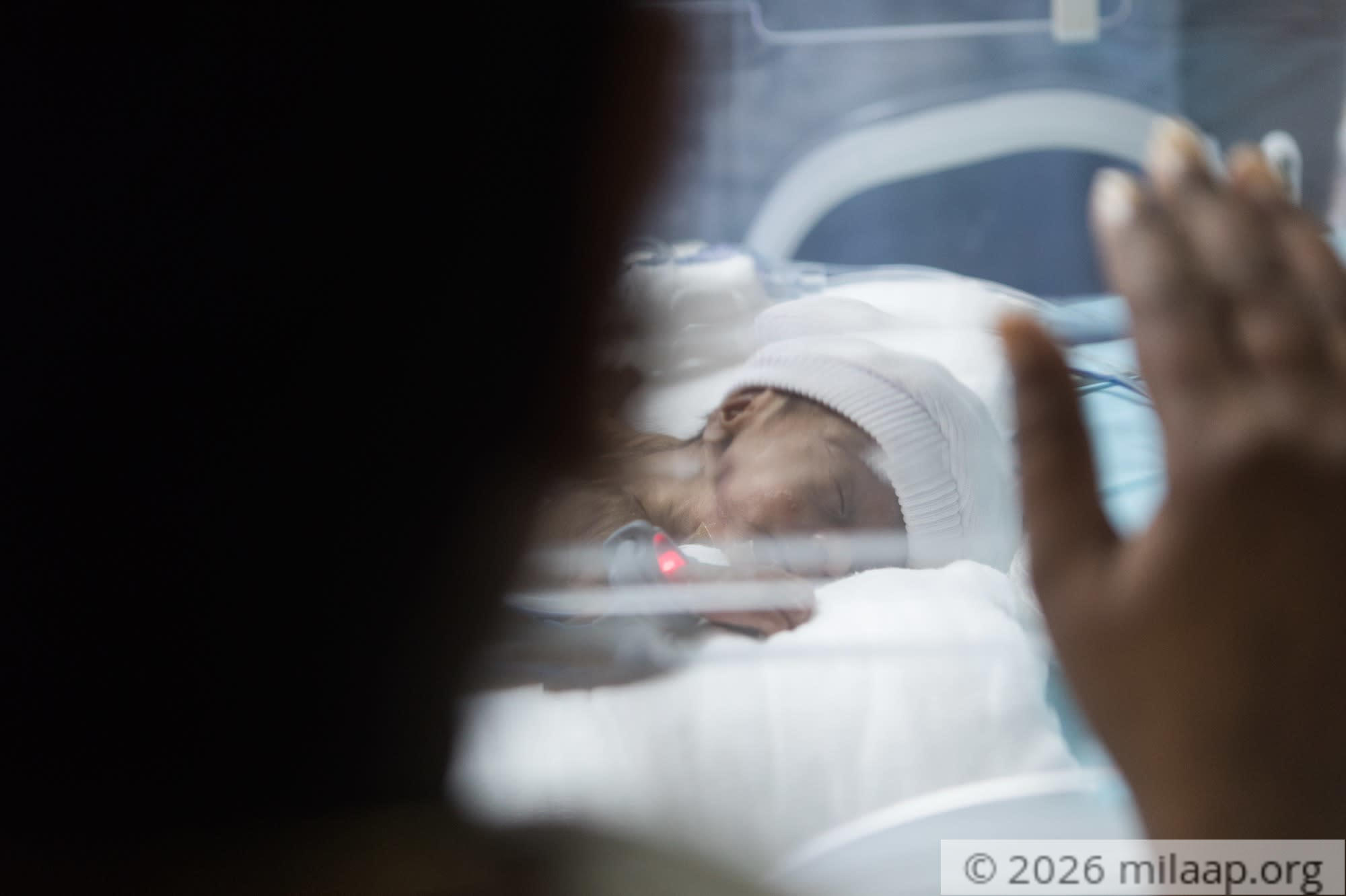 Neelamma 5 xzopbm 1578036536