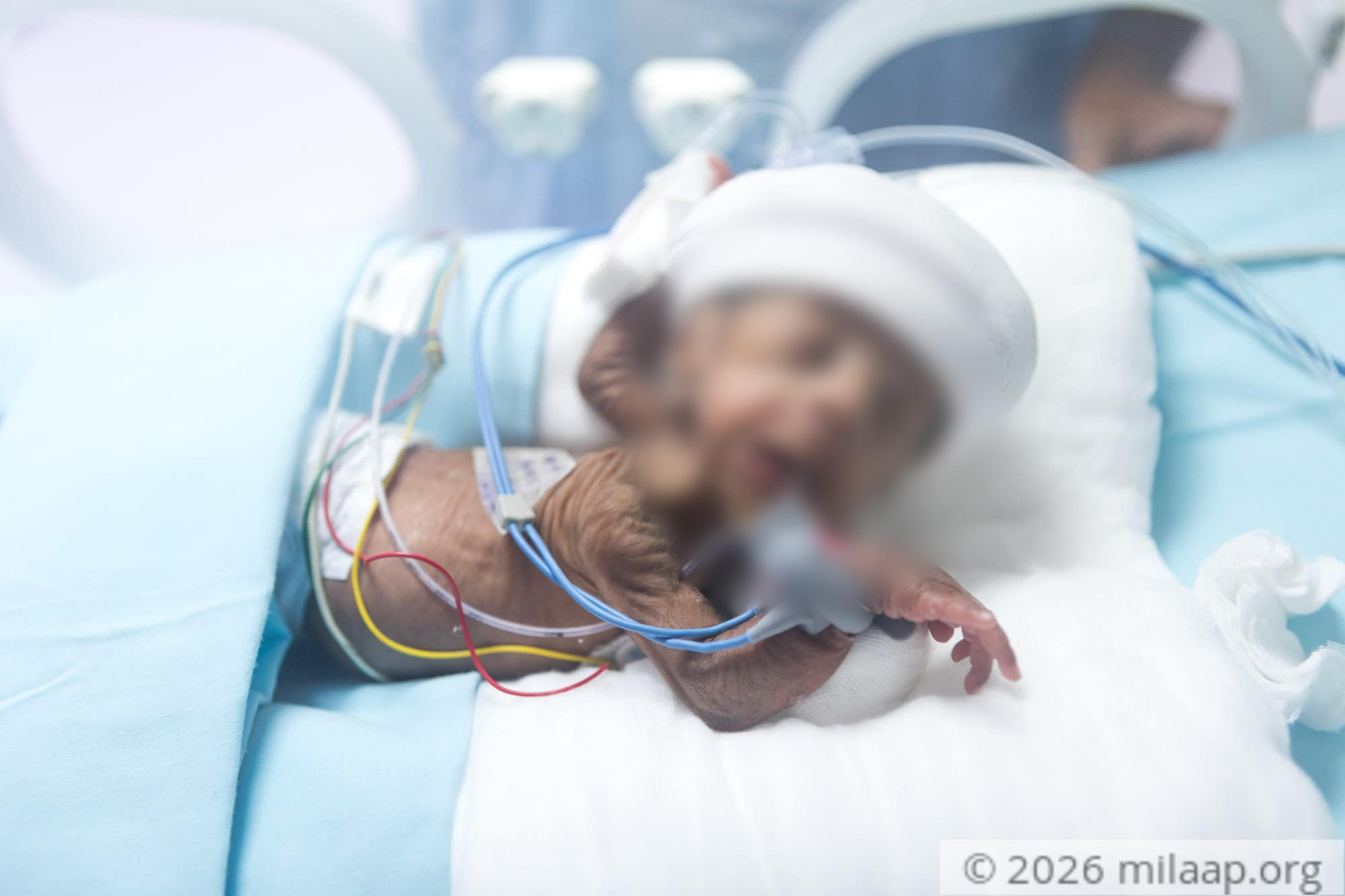 Neelamma 6 yvulqa 1578036540