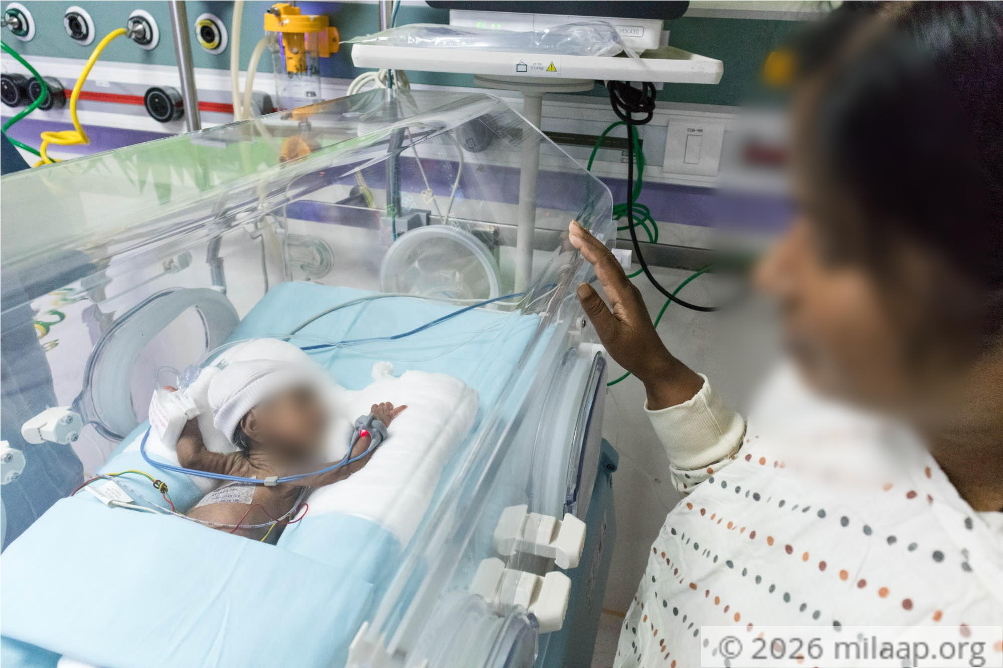 Neelamma 15 yvnosx 1578036547