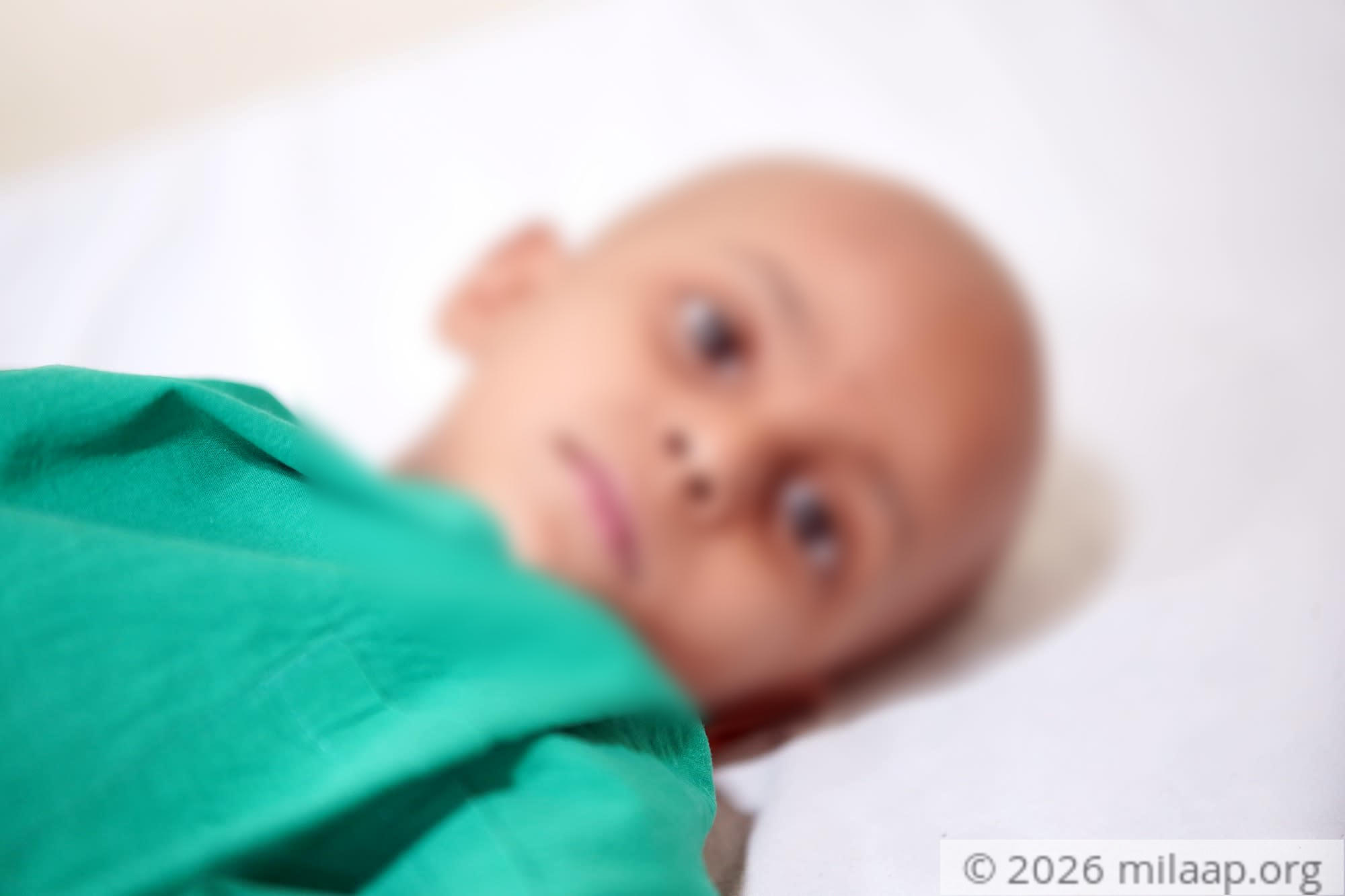 Dsc04906 xkt0nd 1578135623